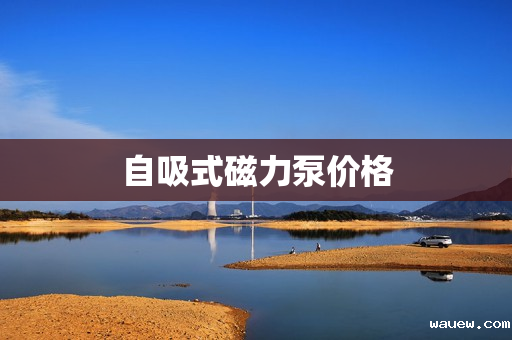 自吸式磁力泵价格