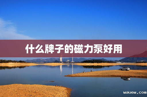 什么牌子的磁力泵好用