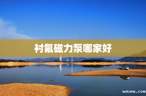 衬氟磁力泵哪家好