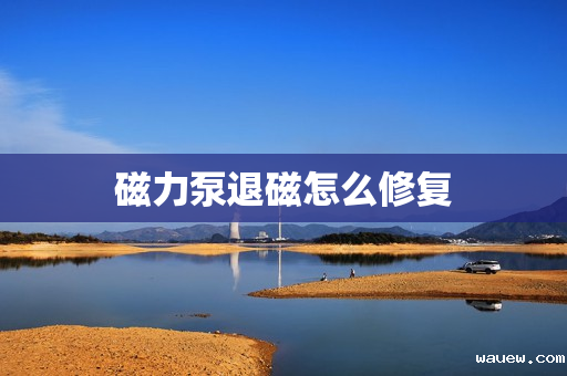 磁力泵退磁怎么修复