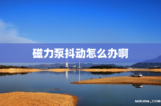 磁力泵抖动怎么办啊