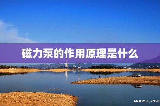 磁力泵的作用原理是什么