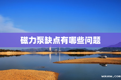 磁力泵缺点有哪些问题