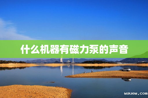 什么机器有磁力泵的声音