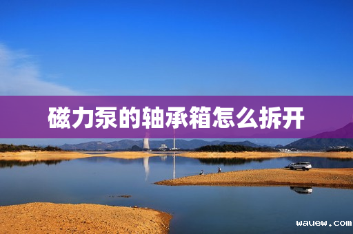 磁力泵的轴承箱怎么拆开