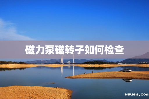 磁力泵磁转子如何检查