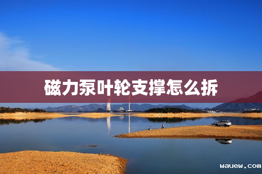 磁力泵叶轮支撑怎么拆