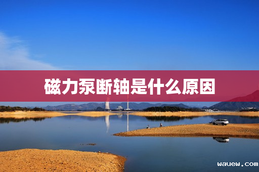 磁力泵断轴是什么原因