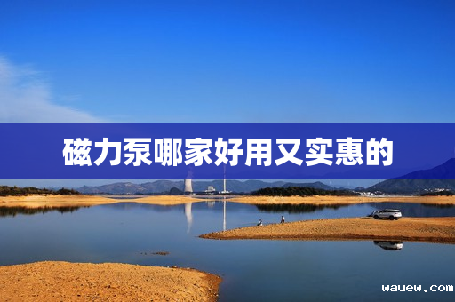 磁力泵哪家好用又实惠的