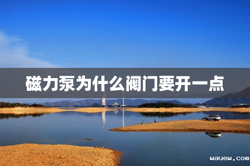 磁力泵为什么阀门要开一点