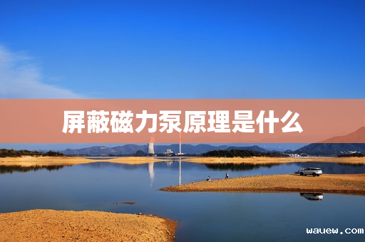 屏蔽磁力泵原理是什么