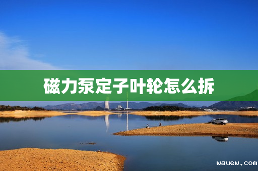 磁力泵定子叶轮怎么拆