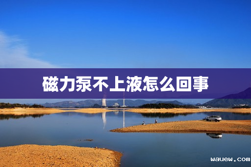 磁力泵不上液怎么回事