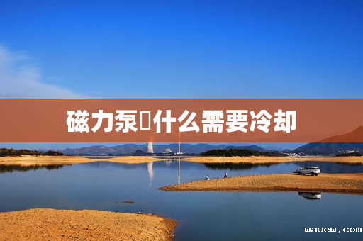 磁力泵為什么需要冷却