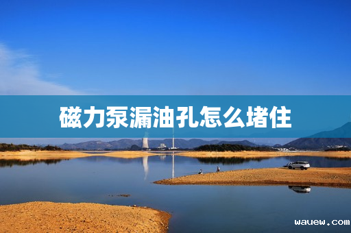 磁力泵漏油孔怎么堵住