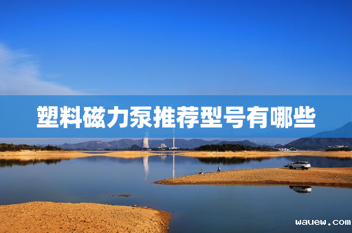 塑料磁力泵推荐型号有哪些