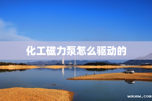 化工磁力泵怎么驱动的