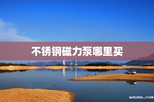 不锈钢磁力泵哪里买