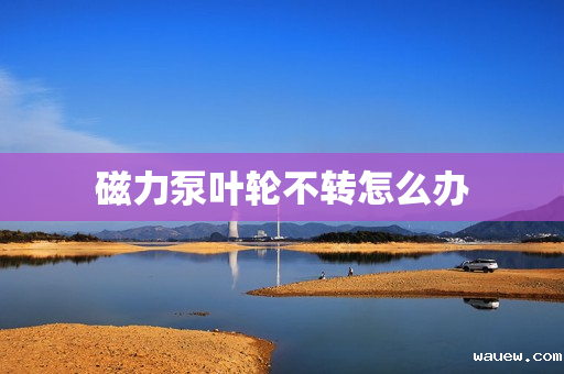 磁力泵叶轮不转怎么办