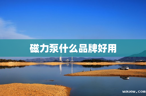 磁力泵什么品牌好用