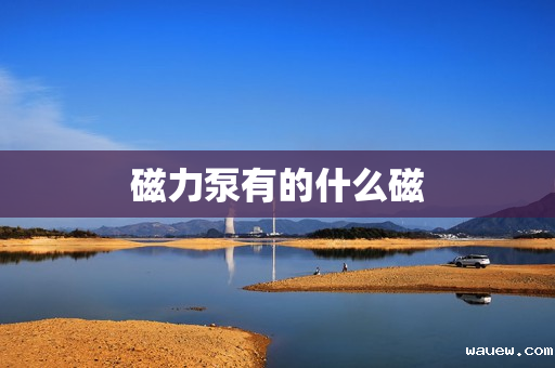 磁力泵有的什么磁