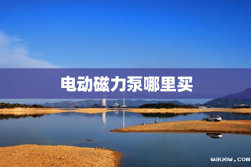 电动磁力泵哪里买