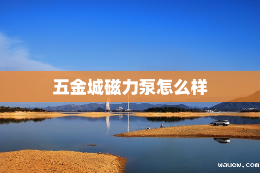 五金城磁力泵怎么样