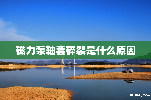 磁力泵轴套碎裂是什么原因