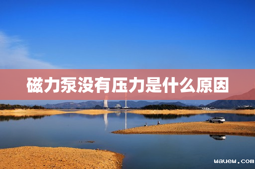 磁力泵没有压力是什么原因