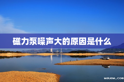 磁力泵噪声大的原因是什么