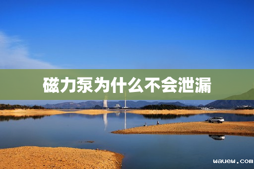 磁力泵为什么不会泄漏