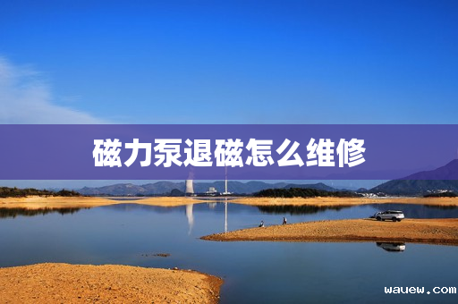 磁力泵退磁怎么维修