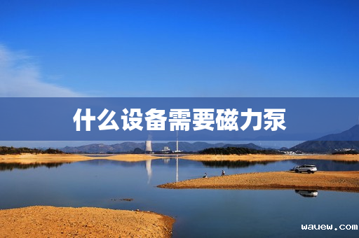 什么设备需要磁力泵