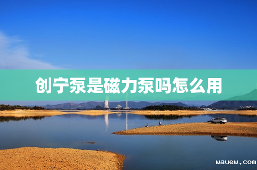 创宁泵是磁力泵吗怎么用