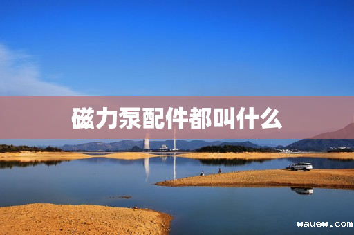 磁力泵配件都叫什么