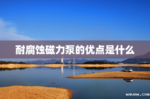 耐腐蚀磁力泵的优点是什么