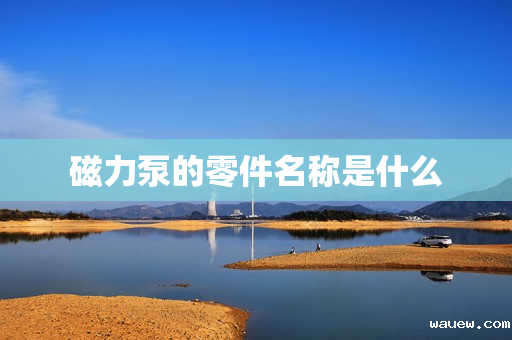 磁力泵的零件名称是什么