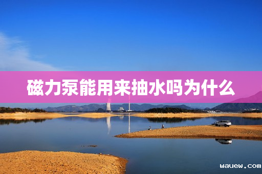 磁力泵能用来抽水吗为什么