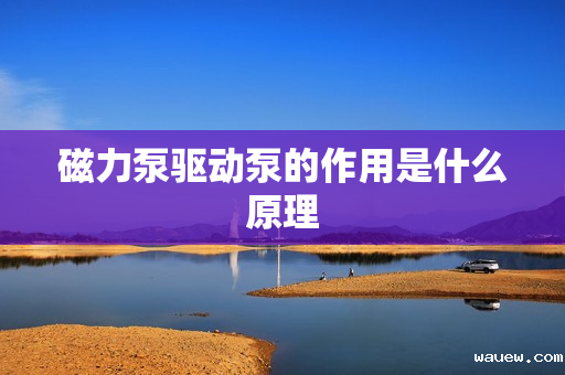 磁力泵驱动泵的作用是什么原理