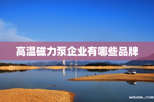 高温磁力泵企业有哪些品牌