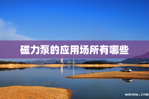 磁力泵的应用场所有哪些