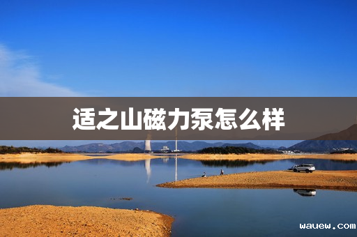 适之山磁力泵怎么样