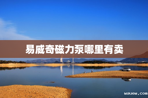 易威奇磁力泵哪里有卖