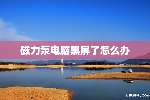 磁力泵电脑黑屏了怎么办