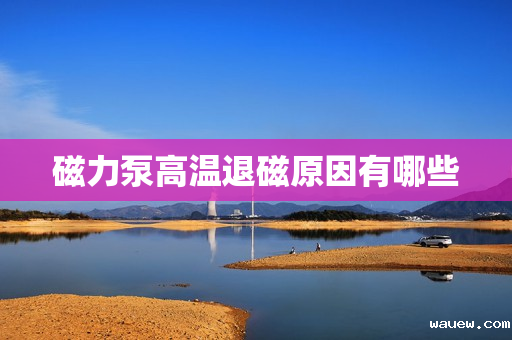 磁力泵高温退磁原因有哪些