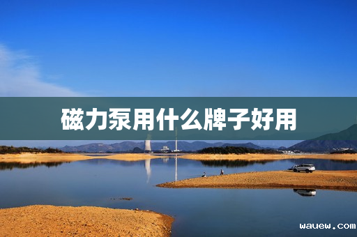 磁力泵用什么牌子好用