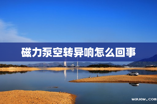 磁力泵空转异响怎么回事