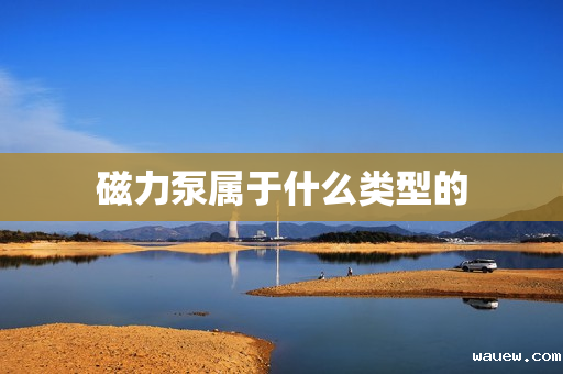 磁力泵属于什么类型的