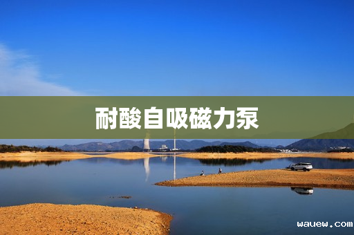 耐酸自吸磁力泵