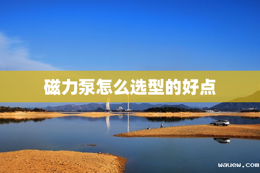 磁力泵怎么选型的好点